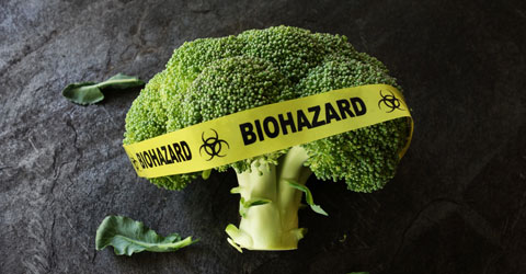 Asking the Right Questions About GMOs: Are GMOs Safe?