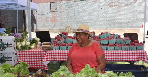 Deeply Rooted Belief in Healthy Food For All