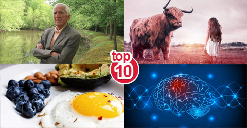 Top 10 Plant-Based News Stories and Articles of 2019